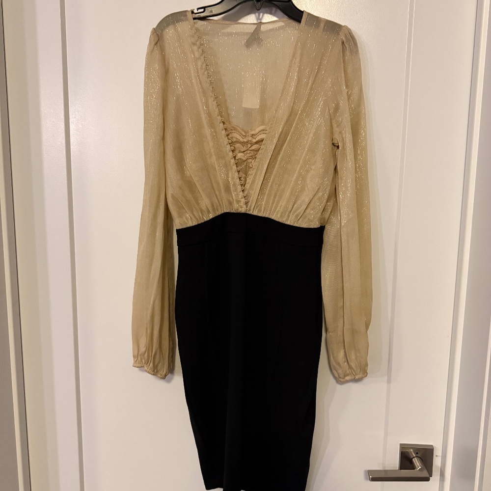 Entry S Beige & Black Formal Dress 🎉🥂